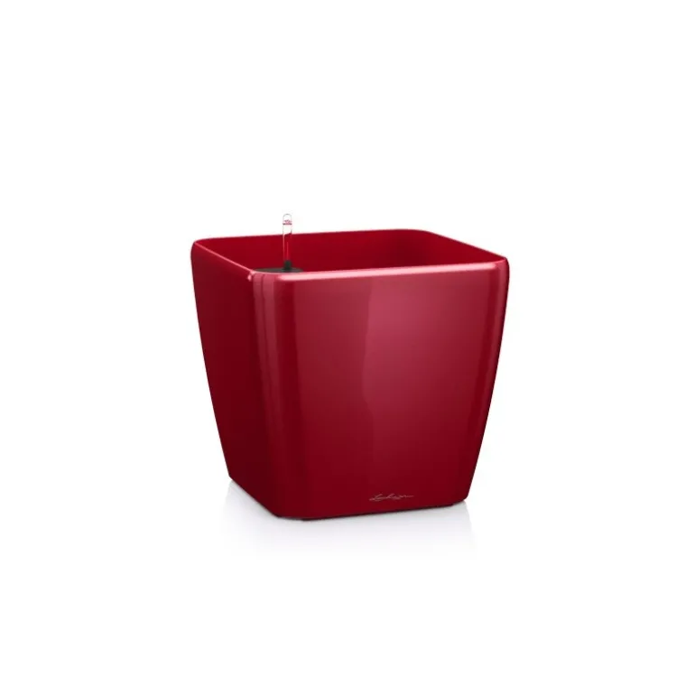 Vaso Quadro Premium 28 Lechuza Set Completo