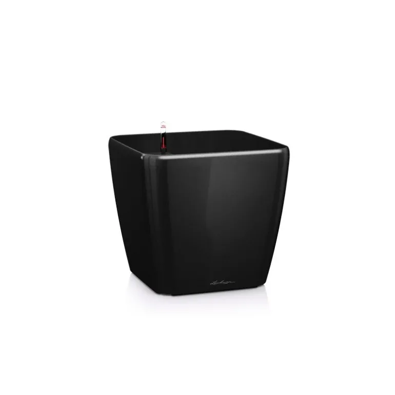 Vaso Quadro Premium 43 Lechuza Set Completo