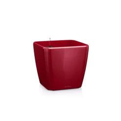 Vaso Quadro Premium 43 Lechuza Set Completo